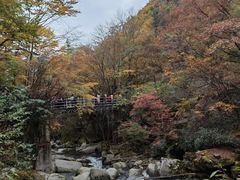 -光雾山旅游景区