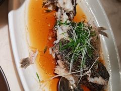 -陶陶居酒家(北京路店)