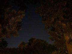 -孔乙己(后海店)