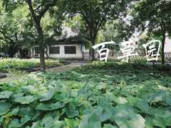 -绍兴鲁迅故里·沈园景区