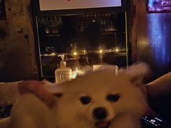 -RMK Shochu Bar(三诺店)