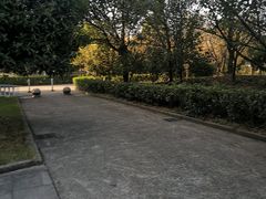 -浙江越秀外国语学院