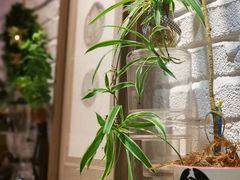 -YLK云南小粒咖啡·云里咖(二号店)