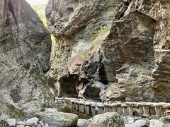 -牛背梁国家森林公园
