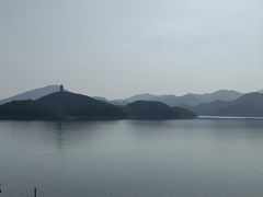 -望湖烤鱼