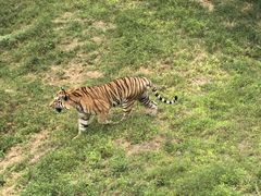 -石家庄市动物园