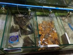 -明润海鲜(南边海店)
