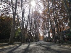 -东湖磨山景区