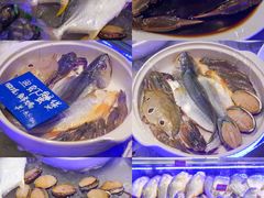 -陈鹏鹏潮汕菜(欢乐海岸 海边景观店)