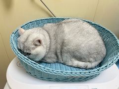 -纳吉亚猫专科动物医院博雅分院