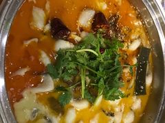 -龙梅肥肠鱼(明瓦廊店)