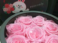 -ROSEONLY诺誓(磐基中心店)