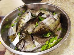 -丰尔粥食·粥底火锅·桑拿鸡(大良总店)