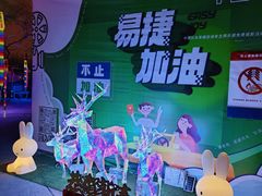 -枫花园汽车电影院(朝阳公园店)