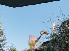 -长鹿旅游休博园