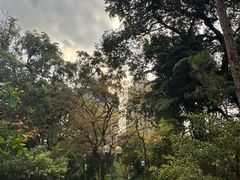 -九龙公园