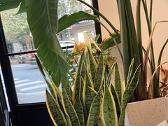 -Fridi Patisserie Cafe