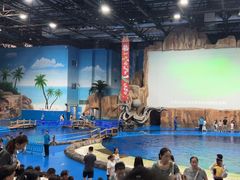 -华夏文旅海洋公园