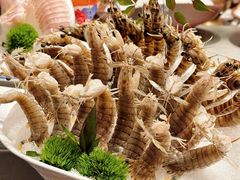 -红运火锅·中国名火锅·国风演绎(省体店)
