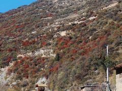 -叠溪松坪沟景区