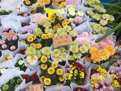 -重庆市江北嘴中央商务区中央公园