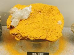 -甘肃地质博物馆