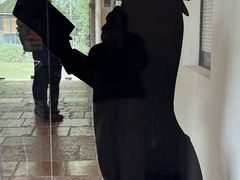 -维也纳莫扎特之家