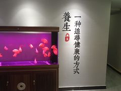 -金蚁康•经络调理•肩颈按摩(万达金街店)