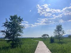 -野鸭湖国家湿地公园