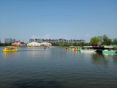 -上海长兴岛郊野公园