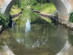 -北坞公园