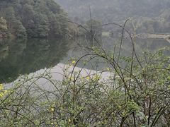 -桃花岭景区