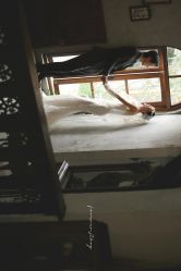 -北遇映画PHOTO GRAPHY STUDIO