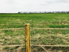 -盐城丹顶鹤湿地生态旅游区