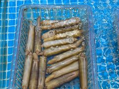 -梦都海鲜酒家(万达广场江桥店)