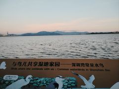 -深圳湾公园(南山区)