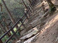 -冶父山国家森林公园