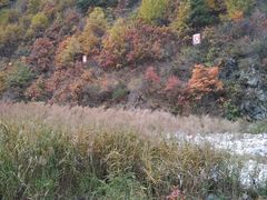 -牛背梁国家森林公园