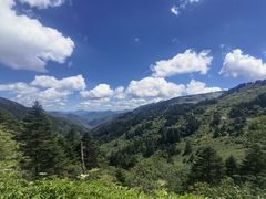 -大九湖