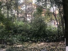 -成都市活水公园