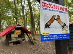 -宫城藏王狐狸村