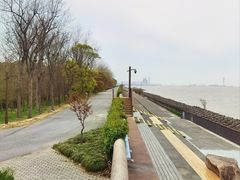 -上海滨江森林公园