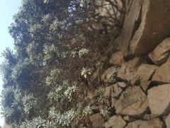 -东极岛景区-青浜岛