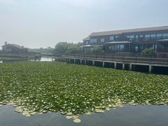 -新木器时代餐厅(太湖新天地店)