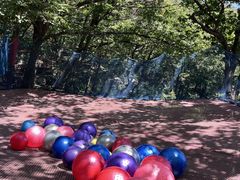 -沂蒙山旅游区云蒙景区(蒙山国家森林公园)