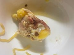 -食德喜·阳山鸡王食研基地