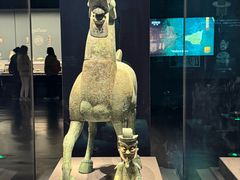 -广西壮族自治区博物馆