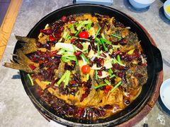 -老板恋上鱼(恒隆广场店)