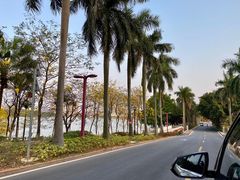 -仙湖旅游度假区