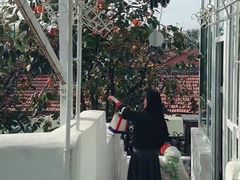 -素心小筑(后沙裕镇店)